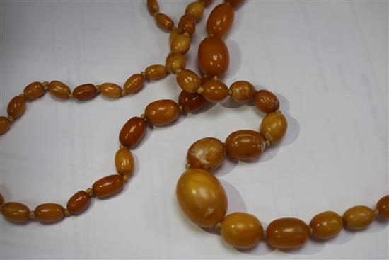 Two single strand graduated amber bead necklaces, gross weight 57grams.